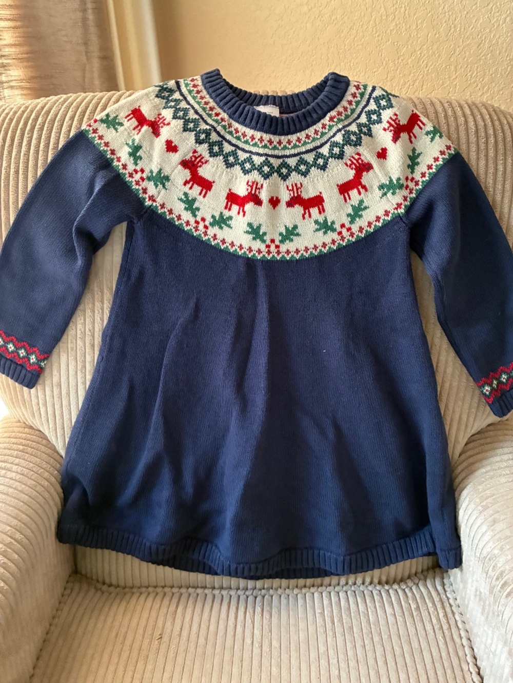 NWOT Hanna Andersson blue sweater dress
